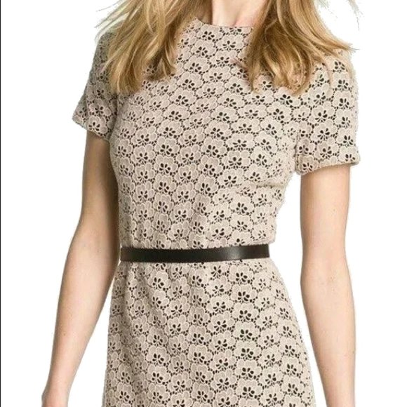 Diane Von Furstenberg/DVF Cindy Acorn Lace Sheath Dress in Stucco - Picture 2 of 8